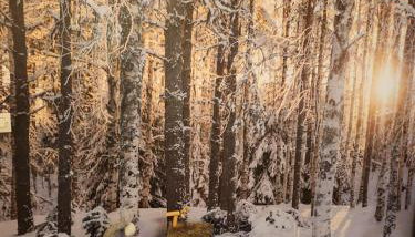 Gréolières Les Neiges - Foto 2