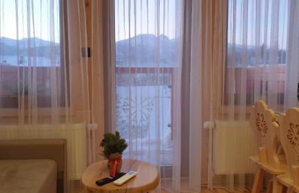 Villa Fortuna - Regionalne apartamenty & SPA - Sauna, Grill, Jacuzzi z widokiem na Tatry - Foto 19