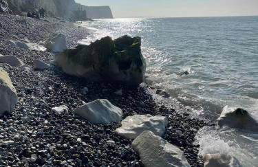 L'abreuvoir de la Mer- villa - plage - Photo 52