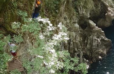 Casa in roccaforte Longobarda - Foto 21