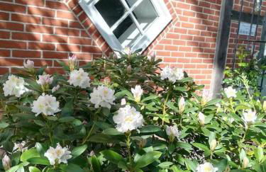 Apartment in ruhiger Wohnlage Sie sind in 3 Minuten am Trebbower See oder in 30 Minuten an der Ostsee - Foto 13