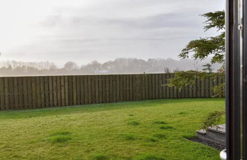 The Haymakers - Foto 12