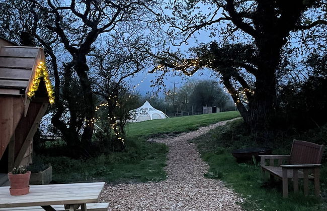 Nest and Nurture - Photo 1