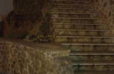 Winzerhaus Rissweg 15 - Foto 5