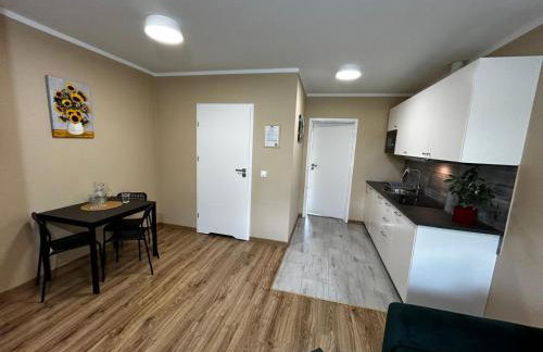 Apartamenty pod Szczęśliwym Koniem - Foto 15
