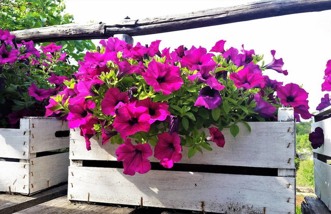 Dépendance in Villa Karmel - Photo 22