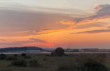 Au Grain De Sel... - Photo 14