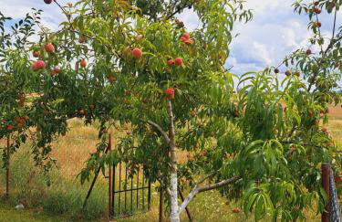 Domki Na Wzgórzu - domek nr 2 - Foto 64