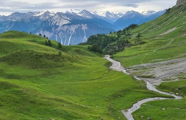 Au coeur des Alpes - Foto 11