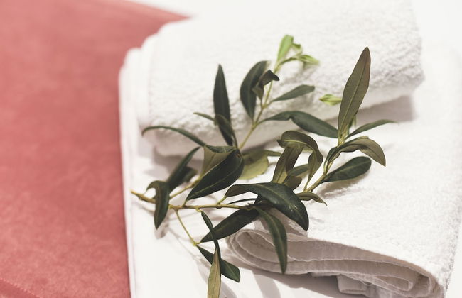 Albertos House - Photo 29