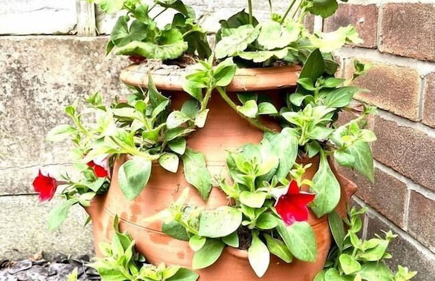 Spacious Family Home - Foto 28