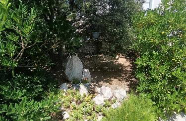 Apartments Višnja - Photo 22