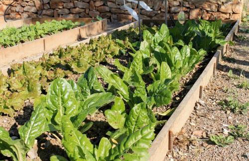 Centro de Agroecologia y Medio Ambiente de Murcia - Foto 34