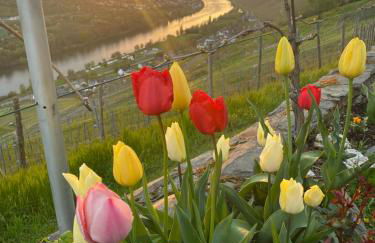 Apartment an der Mosel 2 - Foto 53