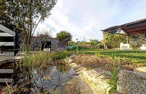 Lusitaurus - Foto 21