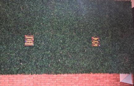 Recanto Campo Belo - Foto 10