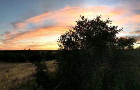 Casa El Encuentro - Turégano Segovia - Foto 20