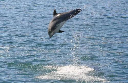 Tróia Dreams - Foto 51