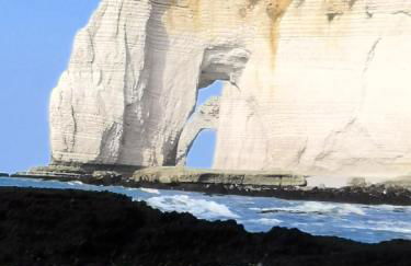 LE WELCOME vue port appartement plain pied - Foto 44