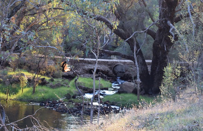 Brockman Park Estate - Foto 41