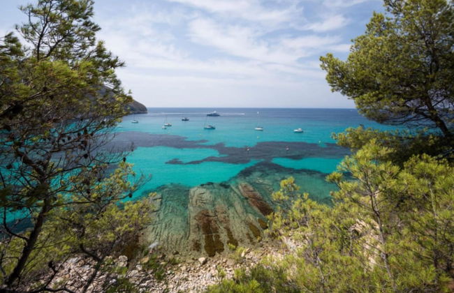 Avatar in Bah a de J vea - Foto 17