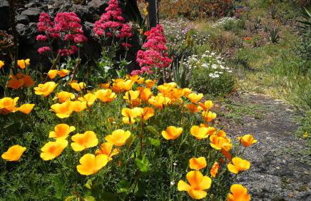 Finca Primavera - Foto 29