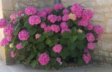 La petite maison dans le Quercy - Foto 22