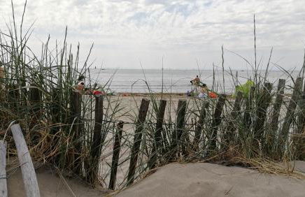 Rêve bleu - Photo 38