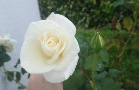 Villa Lina 6 pers plages et rivières - Foto 29