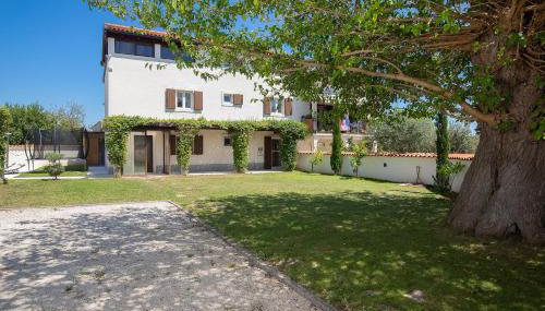 Villa Roža - Foto 3, Garden