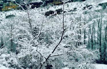 La Milana, Orbaneja del Castillo - Photo 60