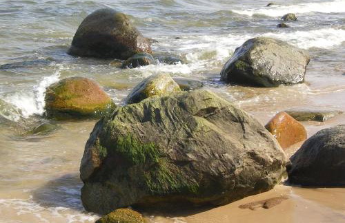 Ferienwohnung ÜckeRitz bei Familie Habben mit PKW Stellplatz - Foto 57