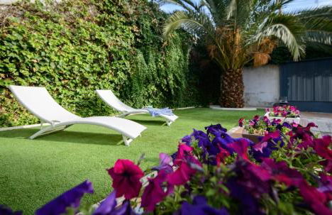 Calandria Madrid - Foto 7