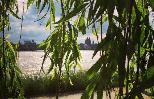 Ferienhaus Zur Mainpforte - Foto 22