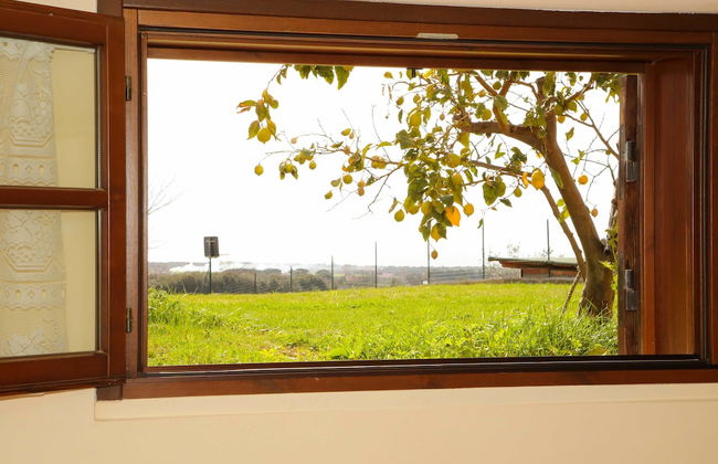 Agriturismo San Gregorio - Foto 70