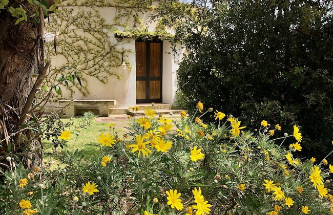 Masseria La Torre - Foto 39