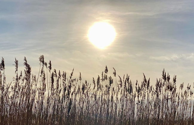 Cozy Holiday Home With Terrace - Foto 26