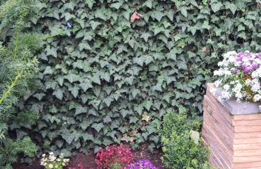 Apartamenty Dom Saski 10 minut od Centrum Warszawy - Foto 45