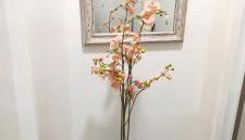 Casa El Oasis - Foto 4