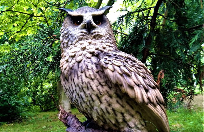 Owl Lodge With Hot Tub and Massage Treatments - Photo 10