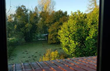 La Pensine du célèbre sorcier - Foto 46