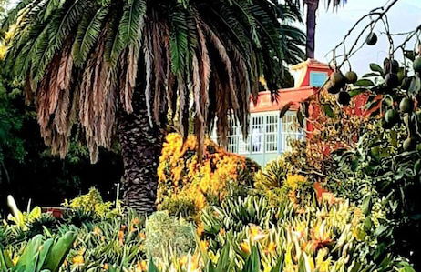 Finca La Principal - Foto 34