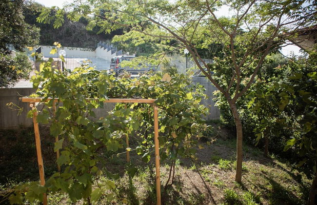 Sogno di Mare in Lido Riccio - Foto 9