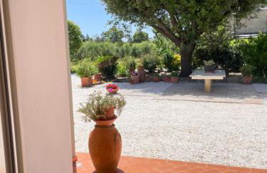 Il Leccio Agriturismo - Foto 53