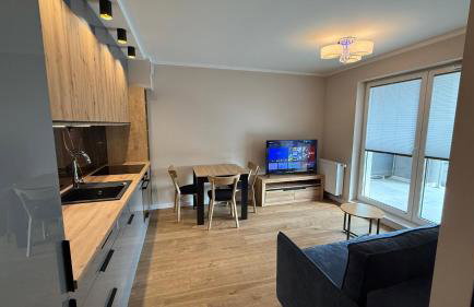 Nowa Dzielnica Cztery Apartamenty przy Tężni - Foto 9