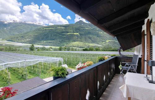 Bauernhof Sackgut - Foto 6