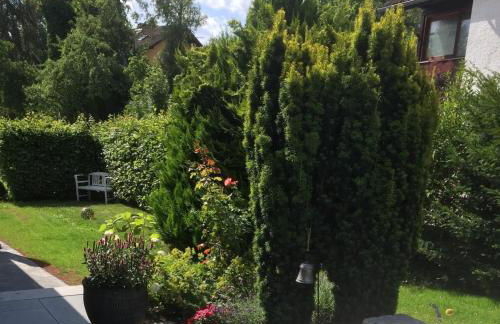 Haus Regina - Foto 14