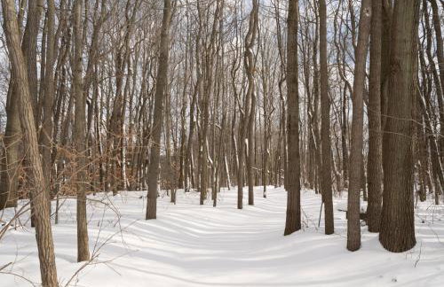 Riverwood South Haven Retreat on 10 Acres - Foto 36