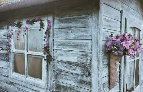 Il Nido di Giulia - Foto 5