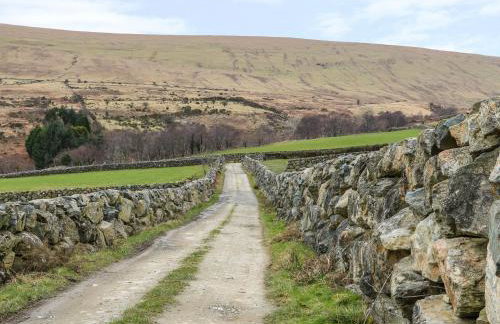 Mary Larkin's Cottage - Photo 19
